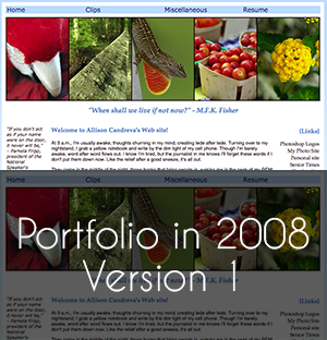 portfolio website version 1 built in 2008